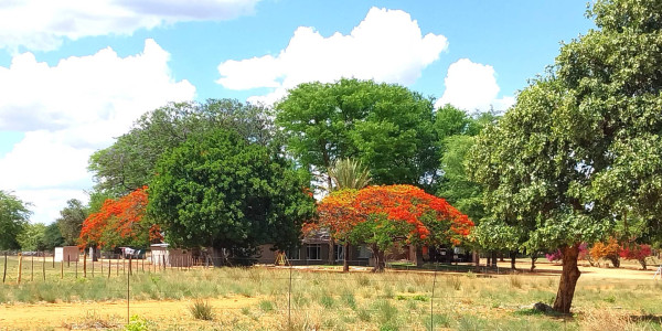 Farm for Sale near Otavi