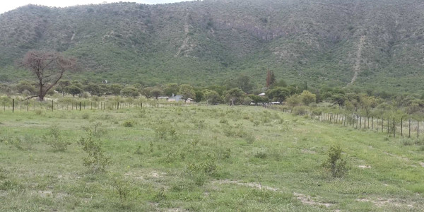 Irrigation Farm for Sale in Otavi Region – Ideal for Foreign Investors