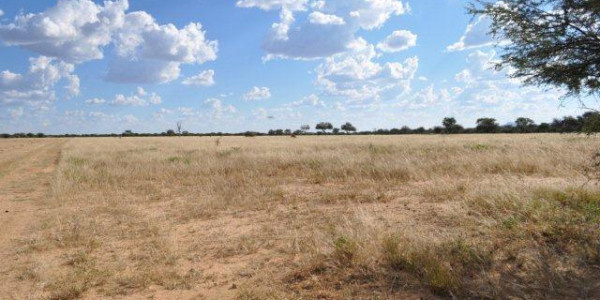 203 hektar plot for Sale, Omaruru