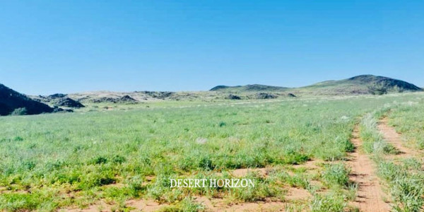Karas Region, Noordoewer | South of Namibia , Farm for sale