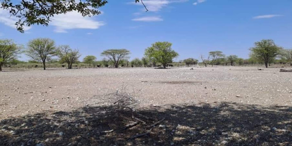 COMMERCIAL FARM FOR SALE IN TSUMEB DISTRICT