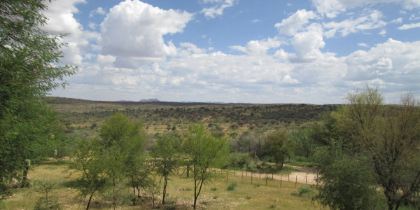 WELL ESTABLISHED BEAUTIFUL GAME FARM FOR SALE N$ 65 000 000.00 PTY (LTD)