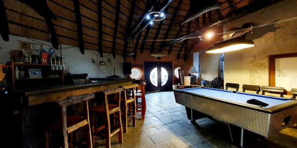 Entertainer's Delight: Thatch Room with Braai & Bar!