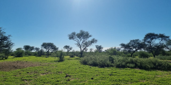 CATTLE FARM FOR SALE IN GOBABIS DISTRICT: BUITEPOS