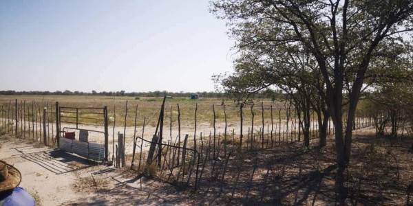 COMMERCIAL FARM FOR SALE IN TSUMEB DISTRICT