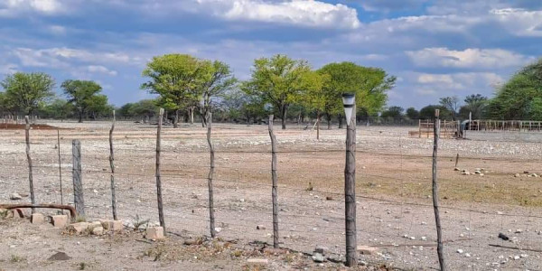 COMMERCIAL FARM FOR SALE IN TSUMEB DISTRICT