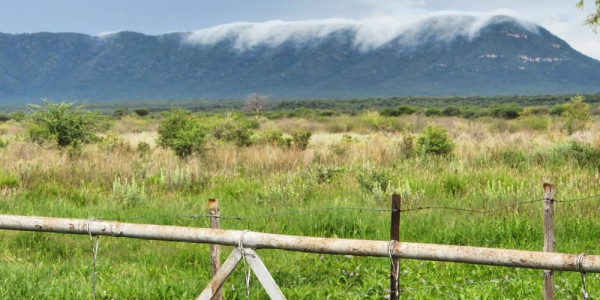 Irrigation Farm for Sale in Otavi Region – Ideal for Foreign Investors