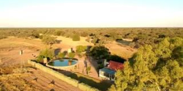 CATTLE FARM FOR SALE IN GOBABIS DISTRICT