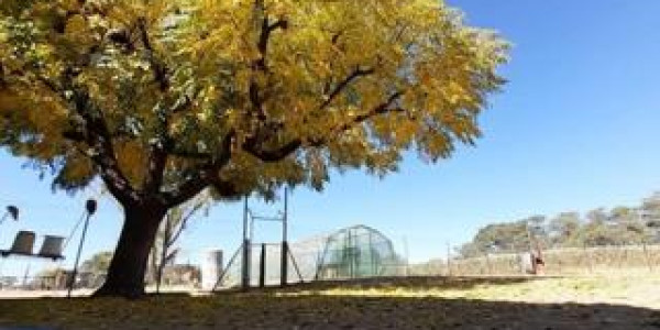 CATTLE FARM FOR SALE IN GOBABIS DISTRICT