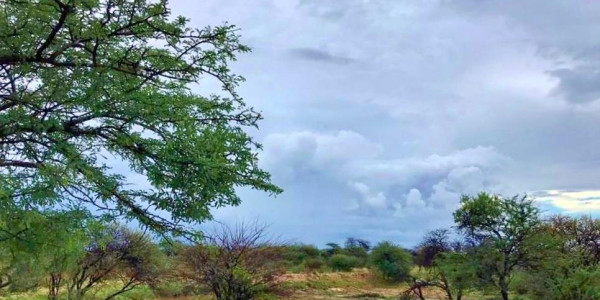 Otjozondjupa Region, Okahandja area:  26.7 Ha Smallholding is for sale