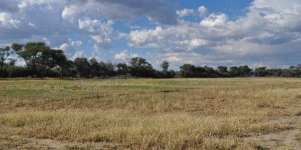 203 hektar plot for Sale, Omaruru