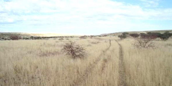 Farm for Sale near Keetmanshoop