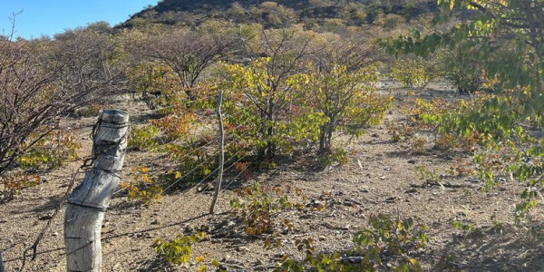 Discover 5000ha of mountainous beauty with a small fountain, just 15km from the main gravel road – an ideal spot for your next tourism project!