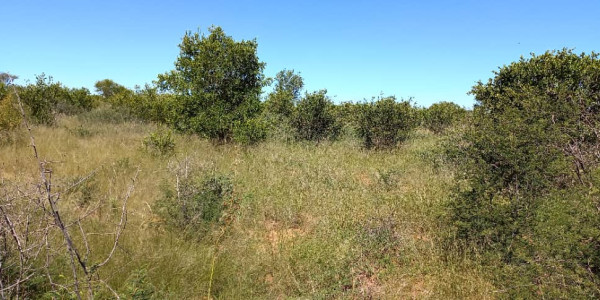 Plot for sale - Gobabis district