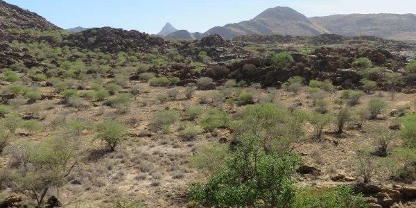 6967 ha Farm for Sale, Karibib District