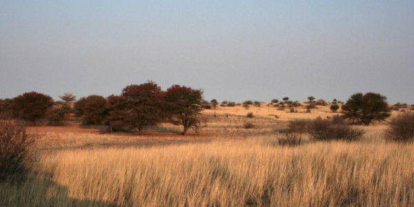 KALAHARI GAME FARM