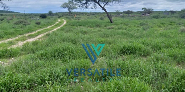 All Nature Lovers,150HA Plot, FOR SALE outside Outjo.