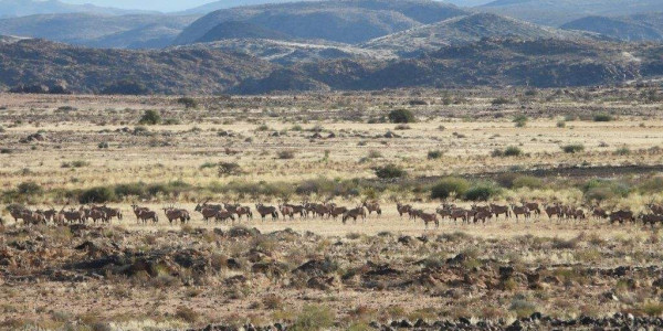 Want to relax on a Game Farm on the border between SA and Namibia?