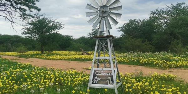 Nestled just 90 km (a quick 45-minute drive) north of Windhoek.