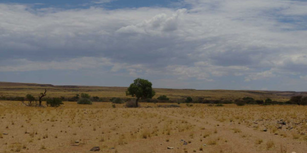 Farm for Sale near Keetmanshoop