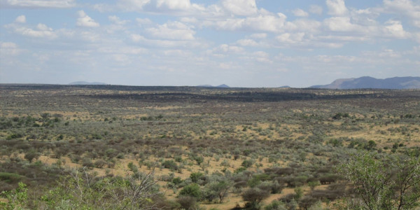 WELL ESTABLISHED BEAUTIFUL GAME FARM FOR SALE N$ 65 000 000.00 PTY (LTD)