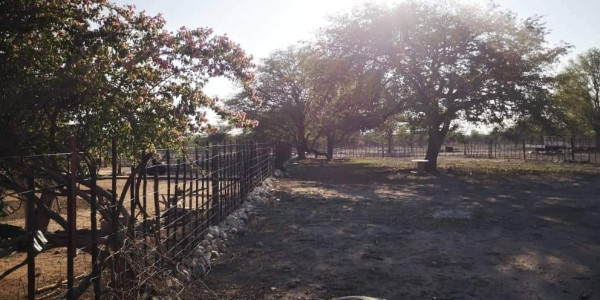 COMMERCIAL FARM FOR SALE IN TSUMEB DISTRICT