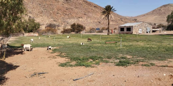 TOURISM-HUNTING-LIVESTOCK FARM FOR SALE IIN HARDAP DISTRICT