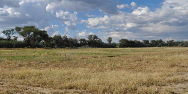 203 hektar plot for Sale, Omaruru