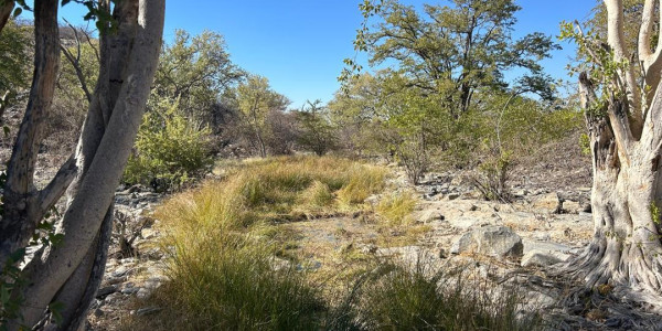 Discover 5000ha of mountainous beauty with a small fountain, just 15km from the main gravel road – an ideal spot for your next tourism project!