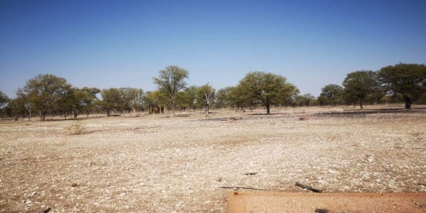 COMMERCIAL FARM FOR SALE IN TSUMEB DISTRICT