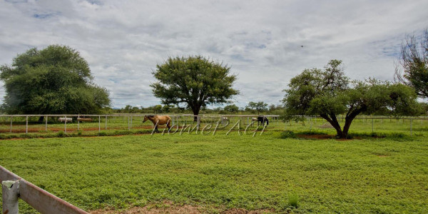 Otjozondjupa Region, Otjiwarongo area:  A Horse Lovers Dream Hideaway