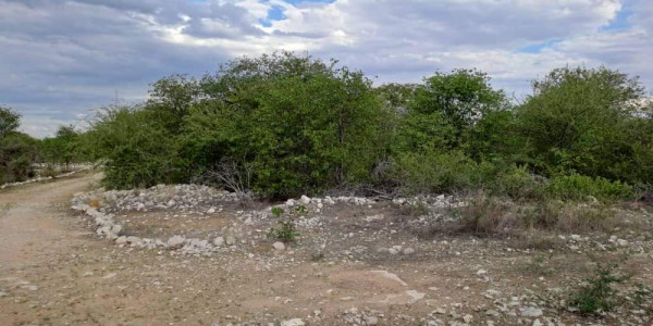 COMMERCIAL FARM FOR SALE IN TSUMEB DISTRICT