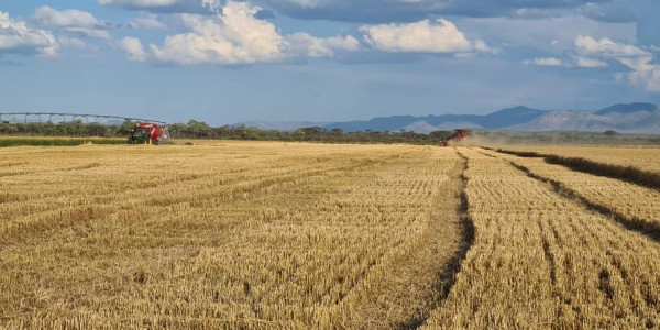 Irrigation Farm for Sale in Otavi Region – Ideal for Foreign Investors