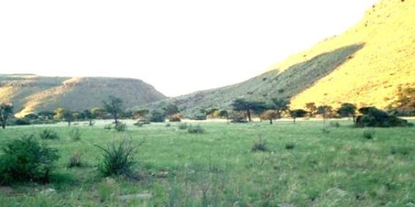 Farm for Sale near Keetmanshoop