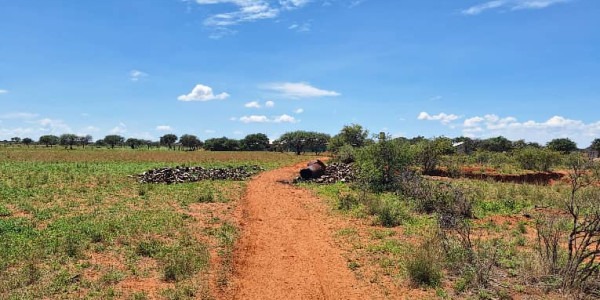 Cattle & Game Farm in the Hochfeld area.