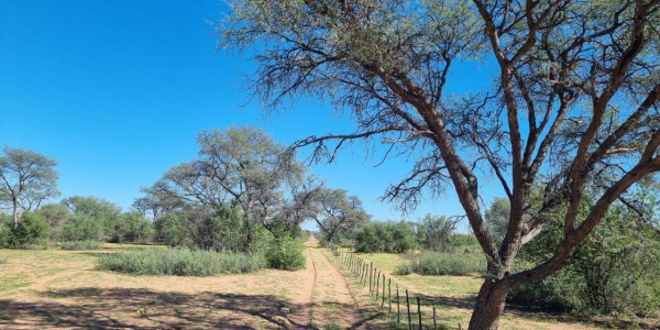 CATTLE FARM FOR SALE IN GOBABIS DISTRICT: BUITEPOS