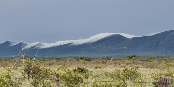 Irrigation Farm for Sale in Otavi Region – Ideal for Foreign Investors