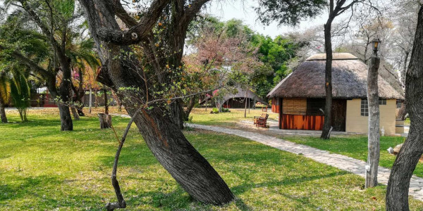 Nkwazi Lodge! Magnificent view, stunning beauty on the banks of the Kavango river