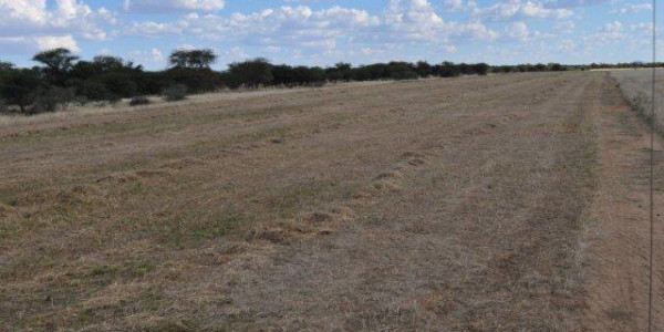 203 hektar plot for Sale, Omaruru