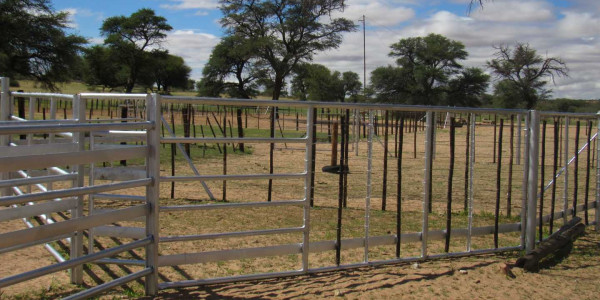 Kalahari Cattle Farm for Sale