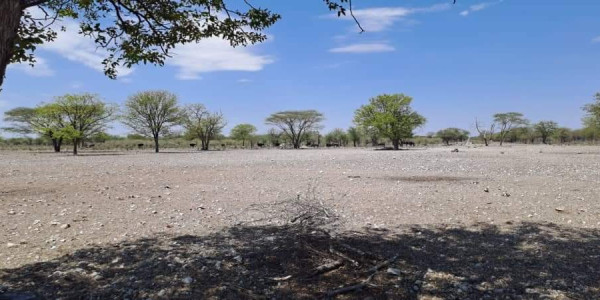 COMMERCIAL FARM FOR SALE IN TSUMEB DISTRICT