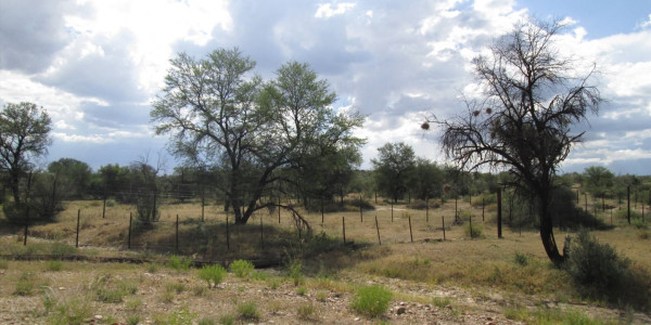 WELL ESTABLISHED BEAUTIFUL GAME FARM FOR SALE N$ 65 000 000.00 PTY (LTD)