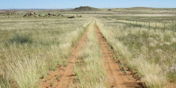 Want to relax on a Game Farm on the border between SA and Namibia?