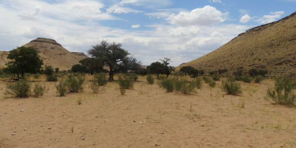 Farm for Sale near Keetmanshoop