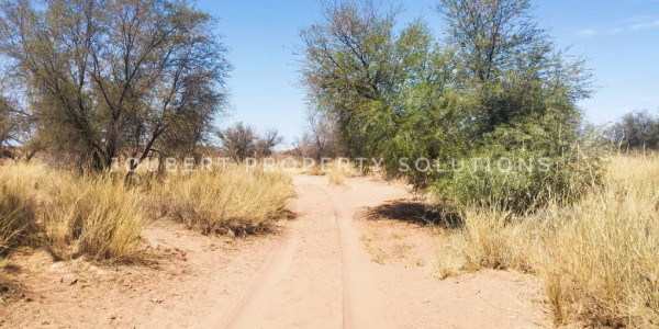 EXCEPTIONAL INVESTORS OPPORTUNITY GAME FARM FOR SALE IN THE SOUTH OF NAMIBIA