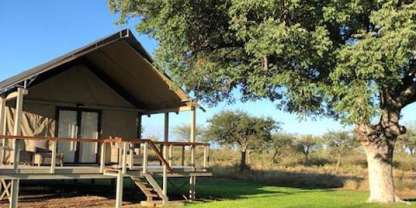 FOR SALE - Game/Guest Farm in Tsumeb Area
