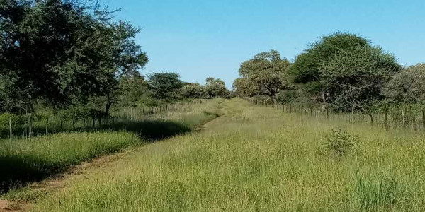 Otavi Agriculture Small Holding Plots - For Sale Now