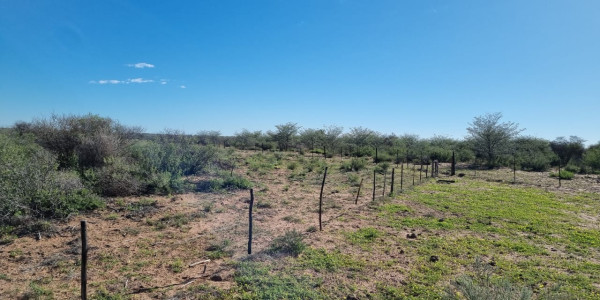 CATTLE FARM FOR SALE IN GOBABIS DISTRICT: BUITEPOS