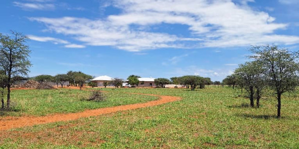 Cattle & Game Farm in the Hochfeld area.