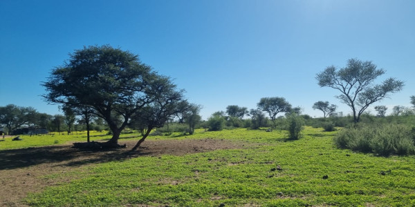 CATTLE FARM FOR SALE IN GOBABIS DISTRICT: BUITEPOS